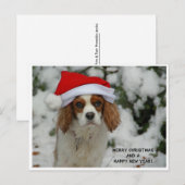 Cartes Pour Fêtes Annuelles Merry Christmas Charly (Devant / Derrière)