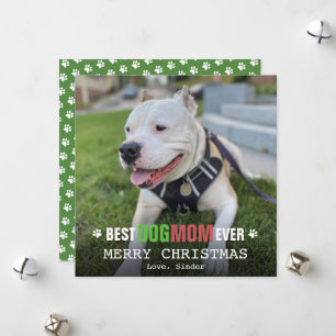 Cartes Pour Fêtes Annuelles Merry Christmas Chien Maman Du Chien Photo Apparte