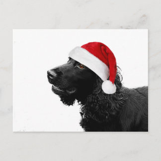 Cartes Pour Fêtes Annuelles Merry Christmas Cocker