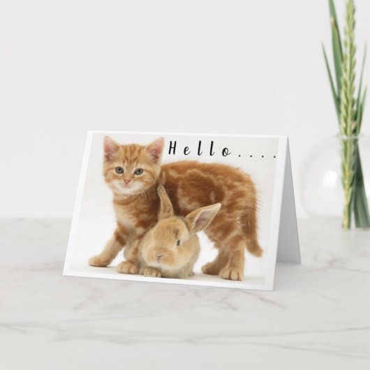 Cartes Pour Fêtes Annuelles **MERRY CHRISTMAS** de BUNNY & KITTY (Devant)