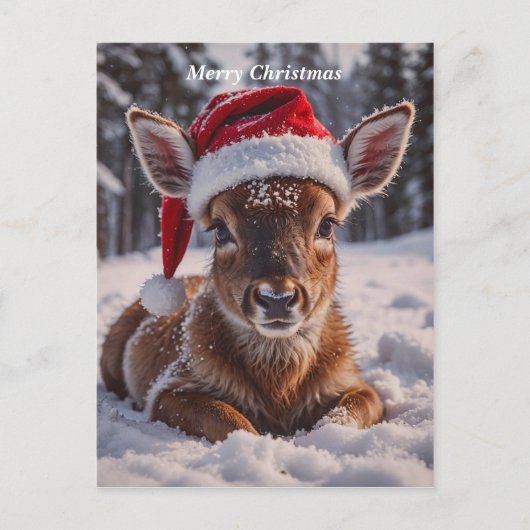 Cartes Pour Fêtes Annuelles Merry Christmas Deer (Devant)