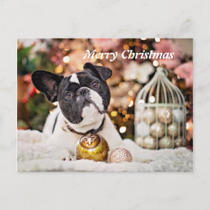 Cartes Pour Fêtes Annuelles Merry Christmas French Bulldog