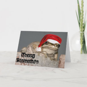 Cartes Pour Fêtes Annuelles Merry Christmas Frog