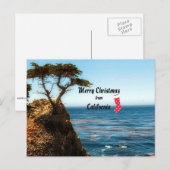 Cartes Pour Fêtes Annuelles Merry Christmas from California (Devant / Derrière)