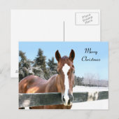 Cartes Pour Fêtes Annuelles Merry Christmas horse (Devant / Derrière)