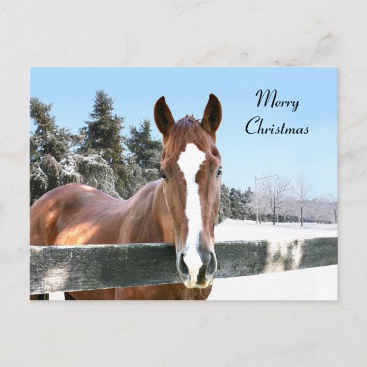 Cartes Pour Fêtes Annuelles Merry Christmas horse (Devant)