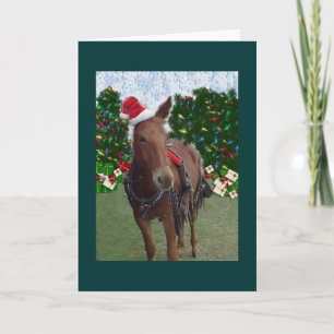 Cartes Pour Fêtes Annuelles Merry Christmas Mule Card