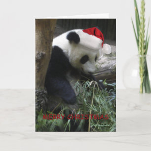 Cartes Pour Fêtes Annuelles Merry Christmas Panda Happy New Year !