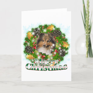 Cartes Pour Fêtes Annuelles Merry Christmas Sheltie
