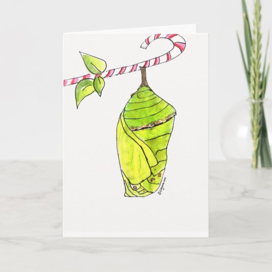 Cartes Pour Fêtes Annuelles Merry Chrysalis (Devant)