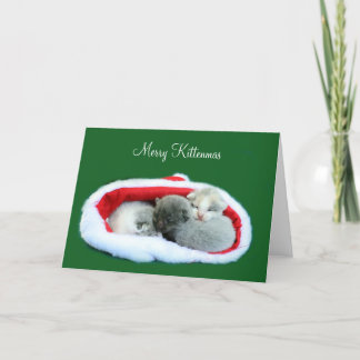Cartes Pour Fêtes Annuelles Merry Kittenmas