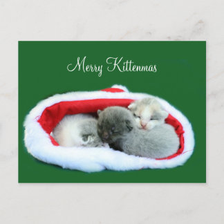 Cartes Pour Fêtes Annuelles Merry Kittenmas