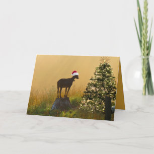 Cartes Pour Fêtes Annuelles Merveilles de chèvre solitaire à l'arbre de Noël