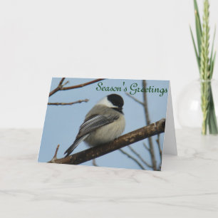 Cartes Pour Fêtes Annuelles Mésange à tête noire B21