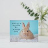 Cartes Pour Fêtes Annuelles Mignonne Bunny Pâques (Debout devant)