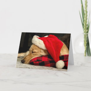Cartes Pour Fêtes Annuelles Mignonne dormant Golden Retriever Chien Noël