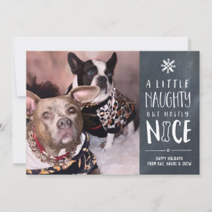 Cartes Pour Fêtes Annuelles Mignonne, Mais Sympa   Pet Photo Holiday Card