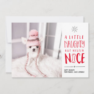 Cartes Pour Fêtes Annuelles Mignonne, Mais Sympa   Pet Photo Holiday Card