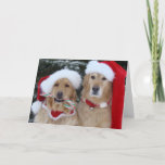 Cartes Pour Fêtes Annuelles Mignons Golden Retrivers de Noël<br><div class="desc">Joyeux Noël Golden Retrivers</div>