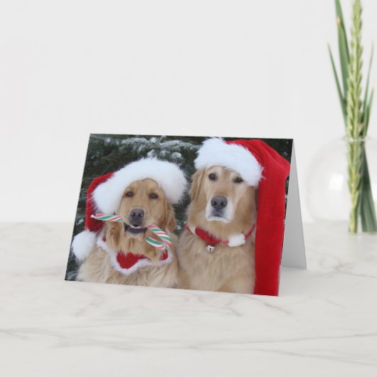 Cartes Pour Fêtes Annuelles Mignons Golden Retrivers de Noël (Devant)