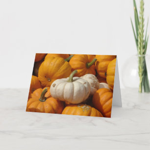 Cartes Pour Fêtes Annuelles Mini citrouilles, Action de grâce