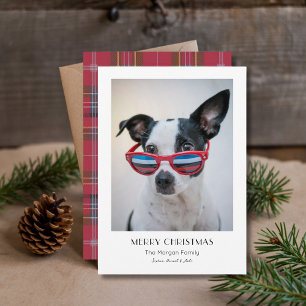 Cartes Pour Fêtes Annuelles Mini Plaid Noël Drôle Chien Animaux de Compagnie P