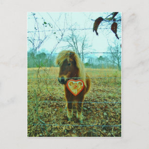 Cartes Pour Fêtes Annuelles Miniature cheval Brown Valentine Heart