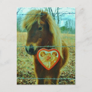 Cartes Pour Fêtes Annuelles Miniature cheval Brown Valentine Heart