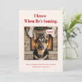Cartes Pour Fêtes Annuelles Minimal Funny Adorable Dog Pet Photo Christmas (Debout devant)
