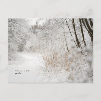 Cartes Pour Fêtes Annuelles Minimal Winter Forest Path, New Year