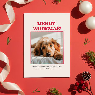 Cartes Pour Fêtes Annuelles Minimaliste Mignon Drôle Photo de Chien de Noël