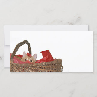 Cartes Pour Fêtes Annuelles Minou curieux de Noël