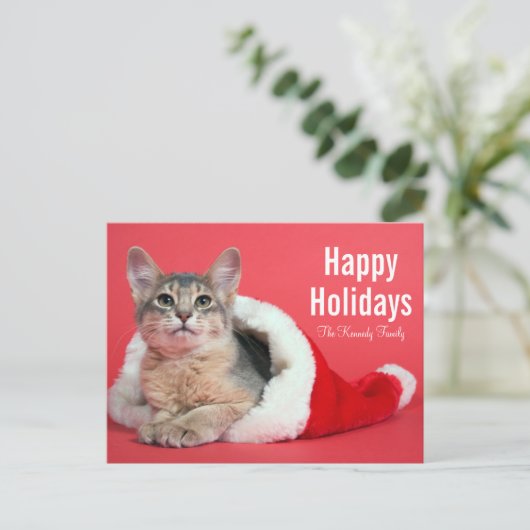 Cartes Pour Fêtes Annuelles Minou de Noël (Debout devant)