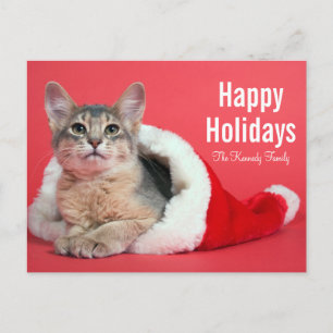 Cartes Pour Fêtes Annuelles Minou de Noël