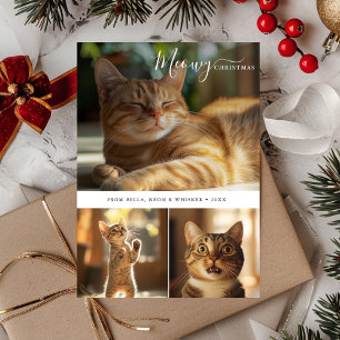 Cartes Pour Fêtes Annuelles Minuscule chat Meowy Noël 3 Photo Collage