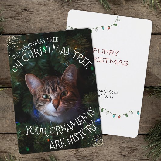 Cartes Pour Fêtes Annuelles Mischievous Kitty Funny Chat Oh Arbre de Noël