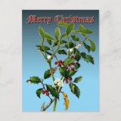 Cartes Pour Fêtes Annuelles Mistletoe & Holly Greenery Art botanique (Devant)