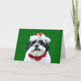Cartes Pour Fêtes Annuelles Mme Claus de Shih Tzu
