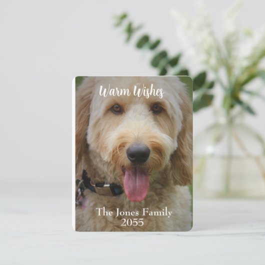 Cartes Pour Fêtes Annuelles moderne Minimaliste Photo (Debout devant)