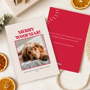 Cartes Pour Fêtes Annuelles Moderne Photo d'un Chiot Mignon Chien Noël