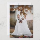 Cartes Pour Fêtes Annuelles Moderne Simple Éffrayant Photo pour animaux de com (Devant)