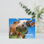 CARTES POUR FÊTES ANNUELLES MODIFICATION DE L'ADRESSE POSTCARDS (Debout devant)