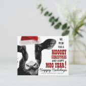 Cartes Pour Fêtes Annuelles Moey Noël Santa Hat Cow (Debout devant)