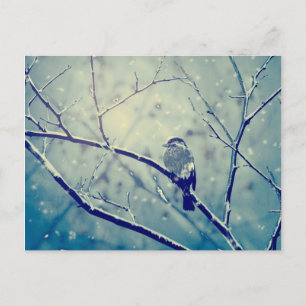 Cartes Pour Fêtes Annuelles Moineau sur la branche enneigée