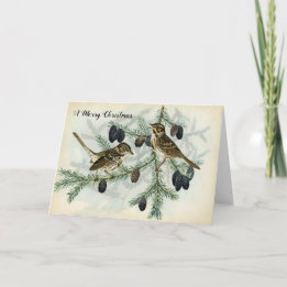 Cartes Pour Fêtes Annuelles Moineaux de Noël des vacances de branches de pin
