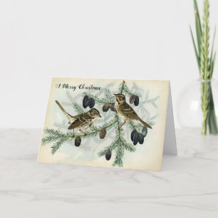 Cartes Pour Fêtes Annuelles Moineaux de Noël des vacances de branches de pin