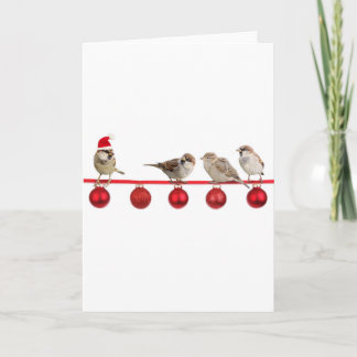Cartes Pour Fêtes Annuelles Moineaux d'oiseaux de Noël