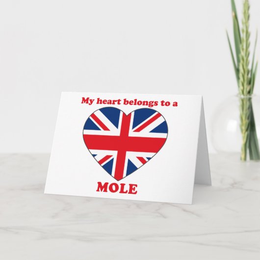 Cartes Pour Fêtes Annuelles Mole (Devant)