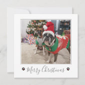 Cartes Pour Fêtes Annuelles Mon chien Photo Joyeux chien de Noël (Devant)