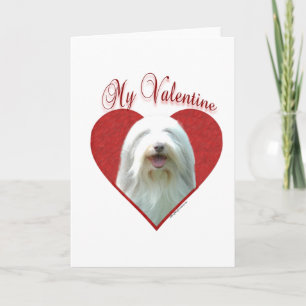 Cartes Pour Fêtes Annuelles Mon Collie Valentine